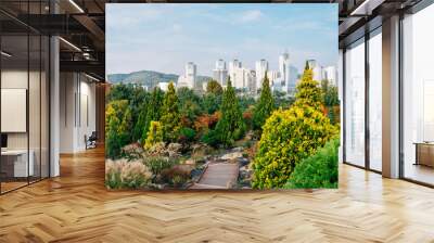 View of Hanbat Arboretum and modern buildings at autumn in Daejeon, Korea Wall mural