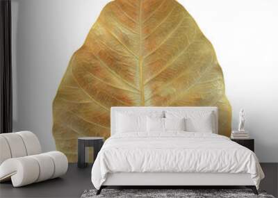 Bo leaf isolated on white background Wall mural