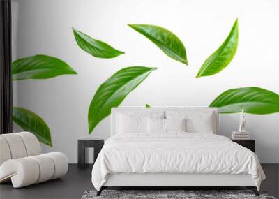 Green tea leaf collection isolated on white background Wall mural