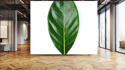 jackfruit leave on white background Wall mural