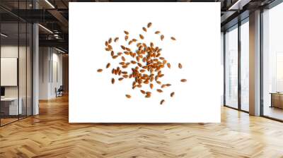 Seed flex on white background Wall mural