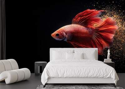 Elegant art piece depicting intense ruby and luminous gold betta fish with fine gilded sparkles on deep black background, statement decor for spacious interior. Realistic photograph, Wall mural