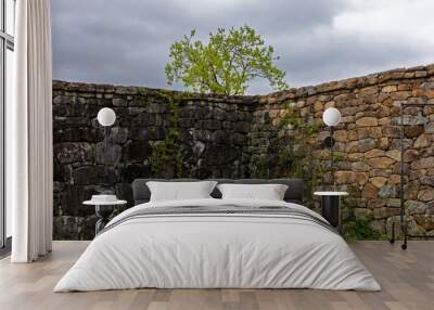 old stone wall and tree Wall mural