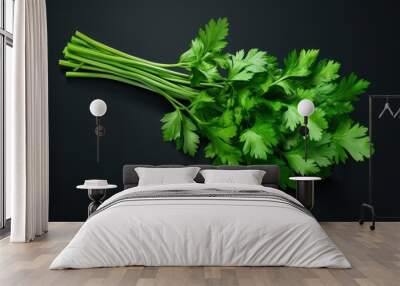 fresh parsley on a black background Wall mural