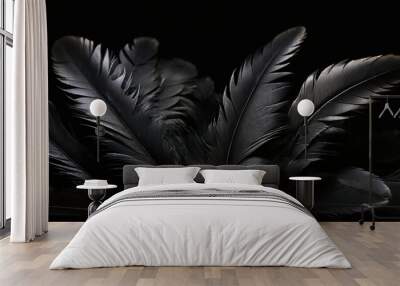 photo of black feathers on a black background Wall mural