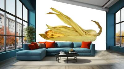 Dry corn ears isolated over a white background Wall mural