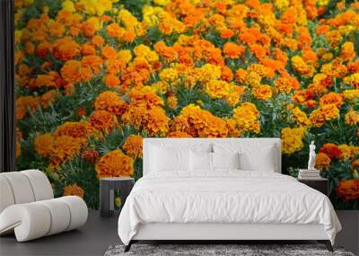 Marigolds (Tagetes erecta, Mexican marigold, Aztec marigold, African marigold) Wall mural