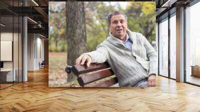 Portrait of happy senior man smiling, in the public park, outdoors. Old man relaxing outdoors and looking away. Portrait of elderly man enjoying retirement Wall mural