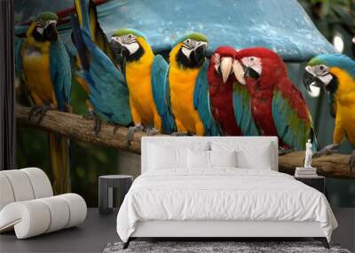 incredible nature scene Wall mural