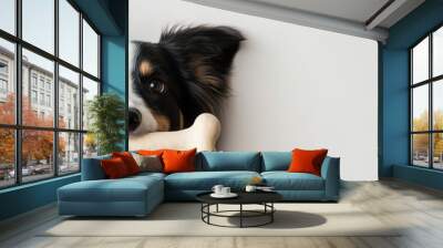 Happy dog holding bone, looking at camera. Wall mural