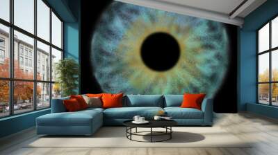 Graphic Desing Iris - Universe Digital Illustration Stardust, Planet and Black Hole Wall mural