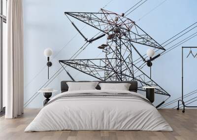 A high voltage electricity tower Wall mural