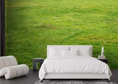 Green grass texture Wall mural