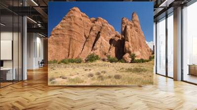 Sand Dune Section in Arches National Park Wall mural