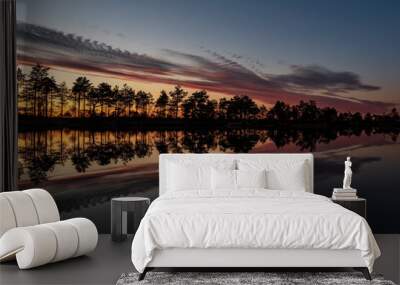 stunningly beautiful view of the evening sky over a forest lake Wall mural