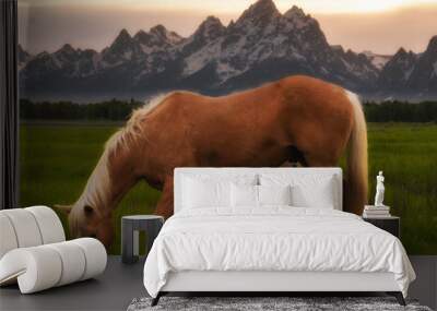 beautiful peaceful horses in the meadow at sunset Wall mural