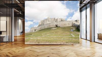 ruins of medieval castle Wall mural