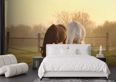 two horses on ranch Wall mural