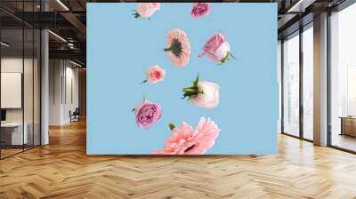 Beautiful flying or levitate pastel flowers. Falling on bright blue background. Creative spring bloom or floral concept. Minimal natural birthday, Mother's, Valentines, Women's day or wedding idea. Wall mural