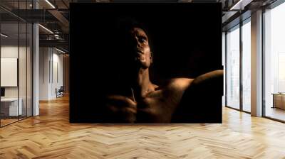 Healthy muscular young man. Wall mural