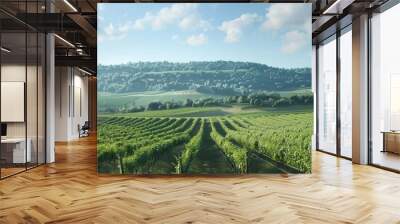 Rolling vineyards under a clear sky, 4K hyperrealistic photo Wall mural