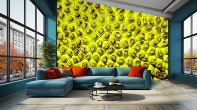 Jackfruit Wall mural