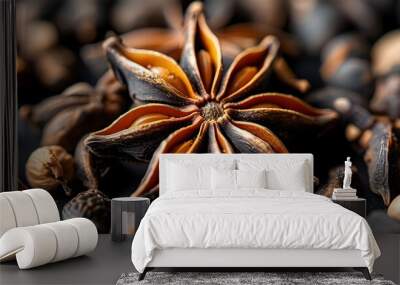 Elegant close-up of whole star anise spice against a dark backdrop Wall mural