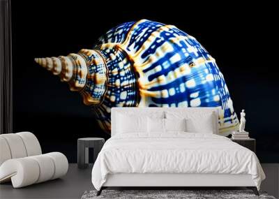 Intricate Blue and White Seashell on Black Background Wall mural