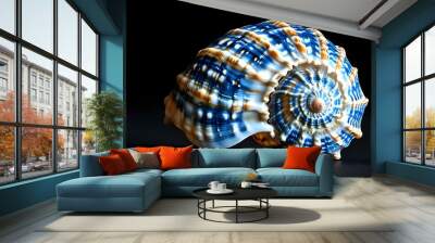 Intricate Blue and White Seashell on Black Background Wall mural