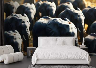 Unique white elephant amidst a herd of majestic black elephants Wall mural