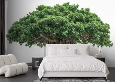 Charming banyan tree with prominent aerial roots isolated on a crisp white background. Presenting the timeless beauty of tranquil nature Wall mural