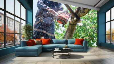 man uses chainsaw cut the tree Wall mural