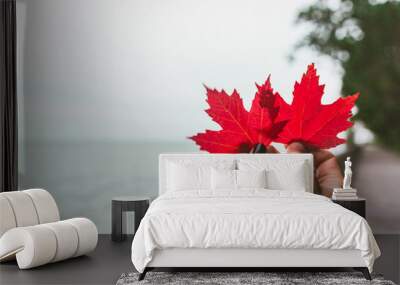 Couple in love holding with hands two red maple tree leaves. National symbol of Canada. Toronto Island Park Wall mural