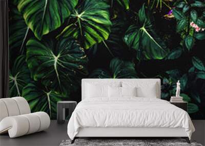 Lush foliage background. Green plant wall design of tropical leaves (aroid plants, philodendron, epiphytes or ferns). Dark green plants growing in rainforest in tropical climate Wall mural