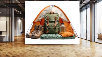 A collection of Mountaineering Trekking outdoor adventure gear and other accessories Wall mural