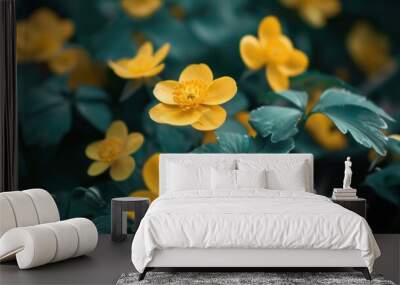 Field of yellow daisies in full bloom under the summer sun Wall mural