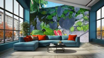 Green beauty and nature arts Wall mural