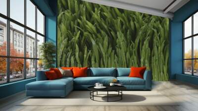 Green 2 Wall mural