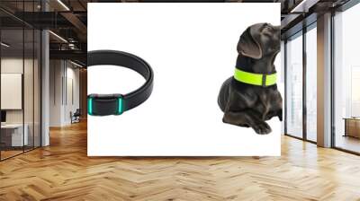 A reflective pet collar for night walks pet accessory photorealistic bright and safe isolated on white and transparent background Wall mural