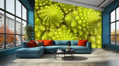 Romanesco Broccoli close up photo Wall mural