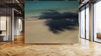 Shadow of a palm tree on a beautiful beach in St. John in the US Virgin Islands Wall mural