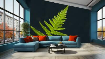 Bright green fern leaf against dark background Wall mural