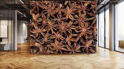 Star anise as an abstract background texture Wall mural