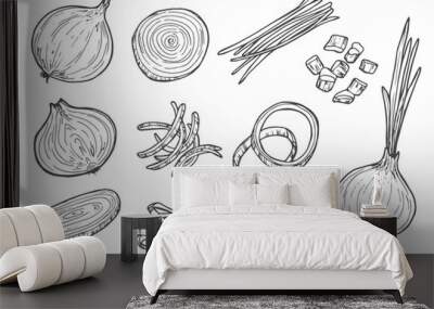 Vector sketch illustration of onion set drawing isolated on white. half, whole and cut rings. Wall mural