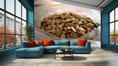 Seeds Wall mural