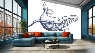 The humpback whale hand draw on white background  Wall mural