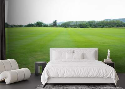 field of grass  Wall mural