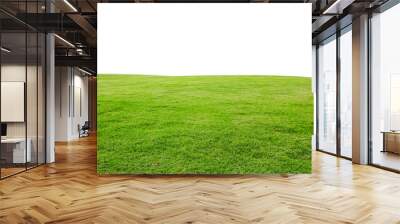 fresh green grass lawn isolated on white background Wall mural