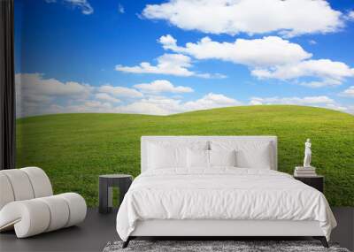 Green grass field and blue sky with clouds Wall mural