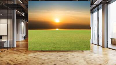 Green Grass, Soccer field ,Fairway Golf Course Sunset as background Wall mural